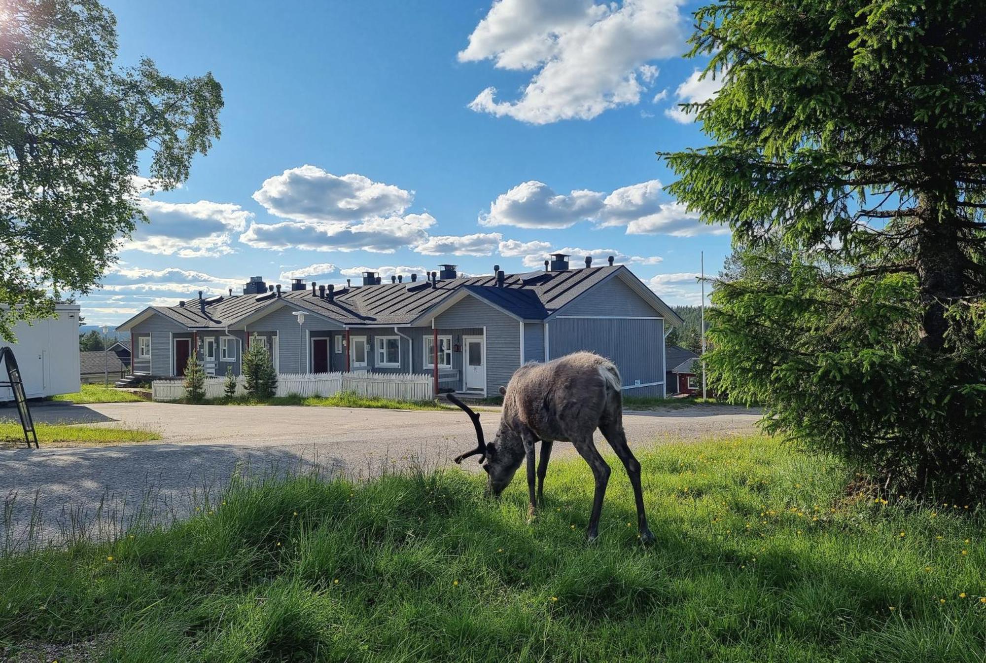 Kuukkeli Apartments Suite Saariselkä Exterior foto