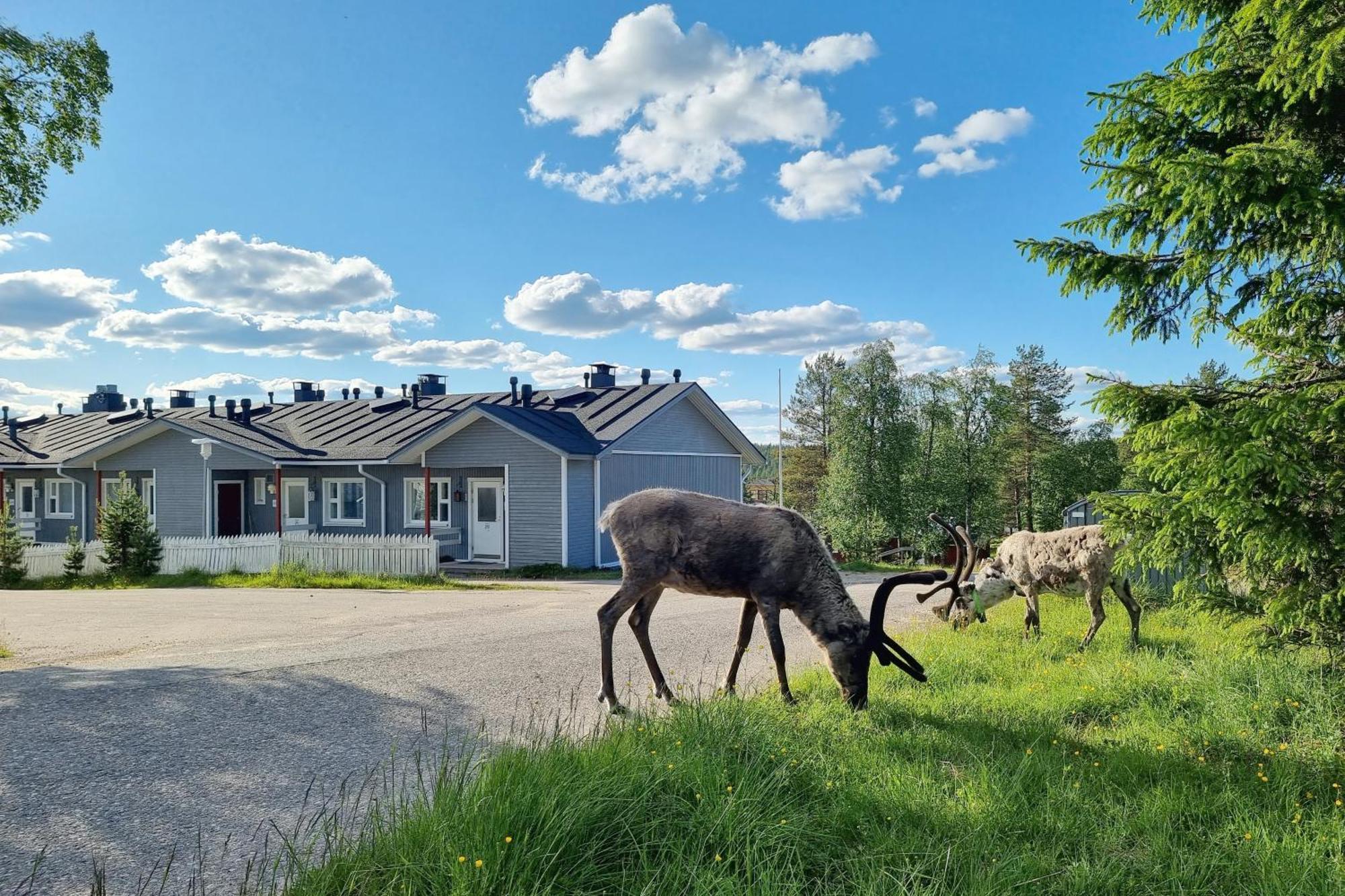 Kuukkeli Apartments Suite Saariselkä Exterior foto